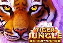 RTP quickspin STARBET388